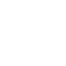 Shield Icon